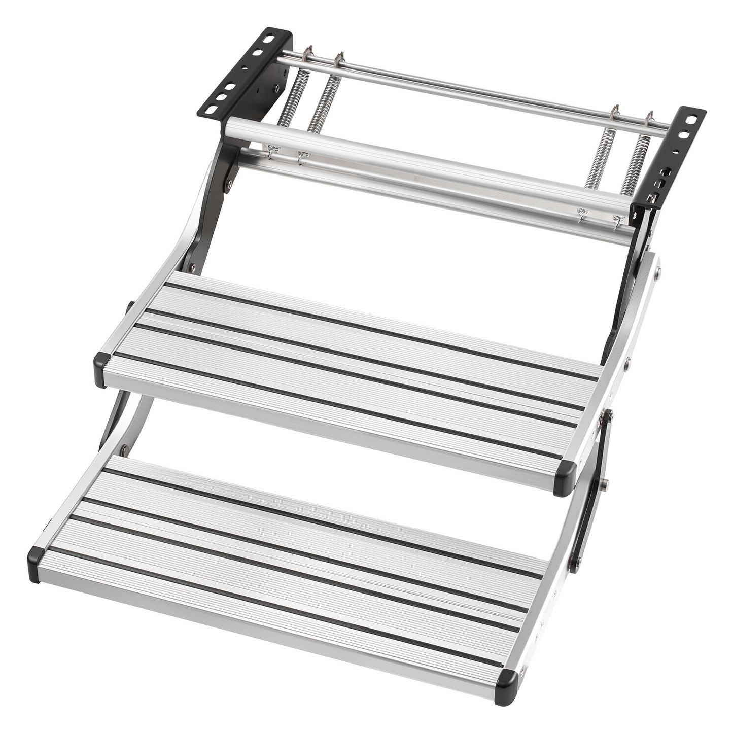 81804732