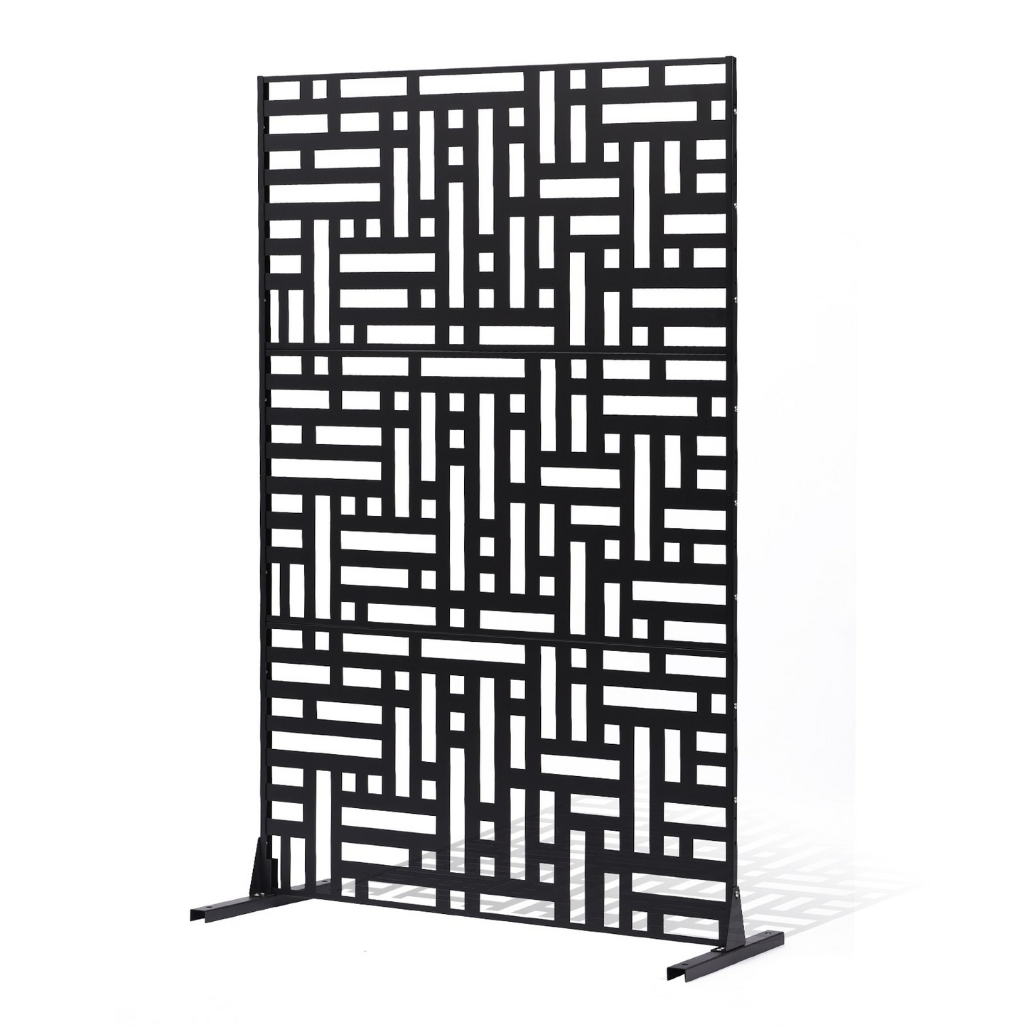 79646631