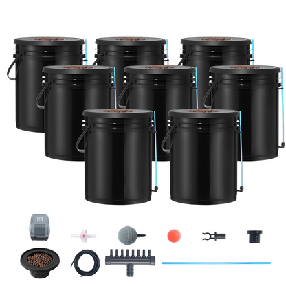 80897397