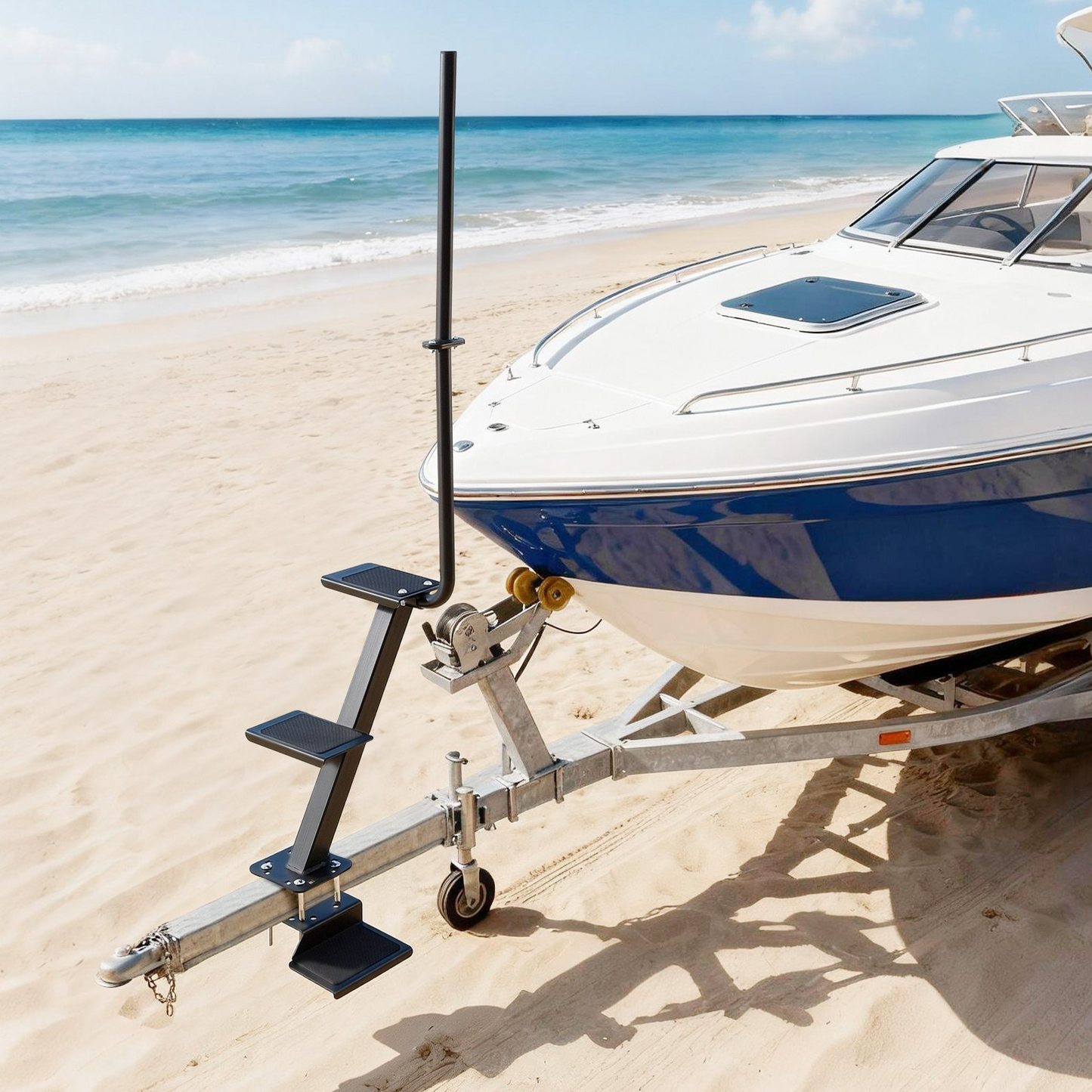 78749654