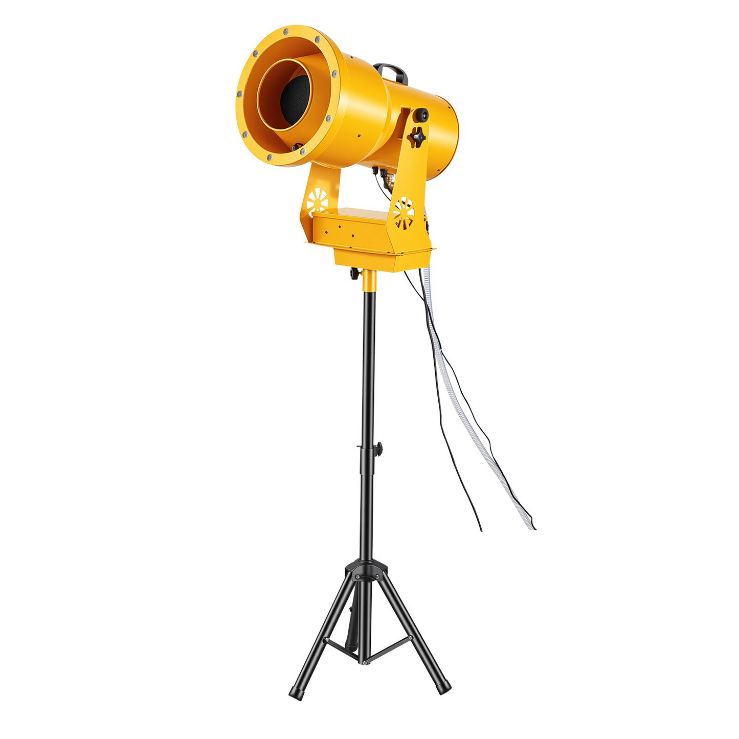 79125602