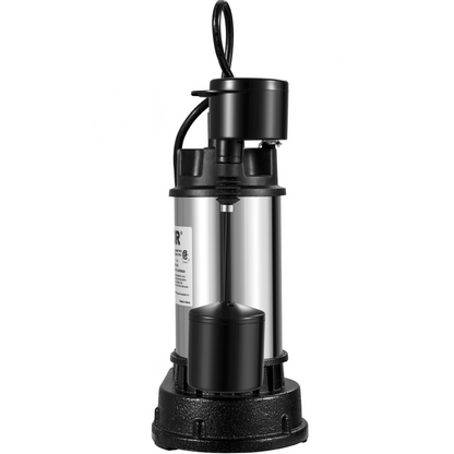 81650600