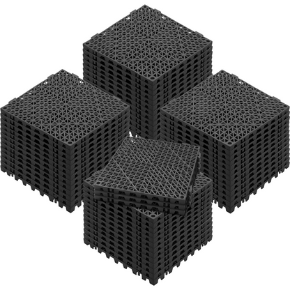 78805019