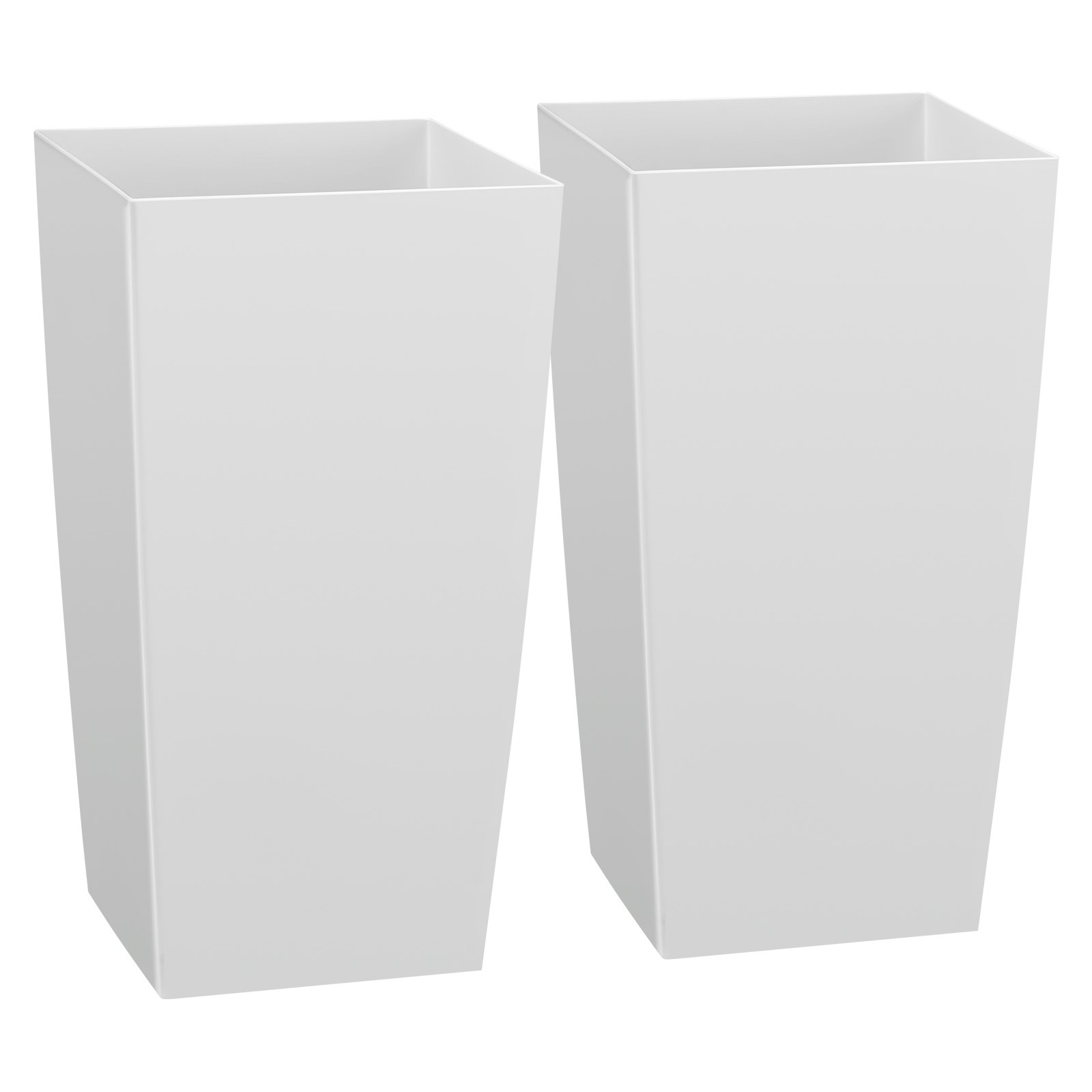 80755941