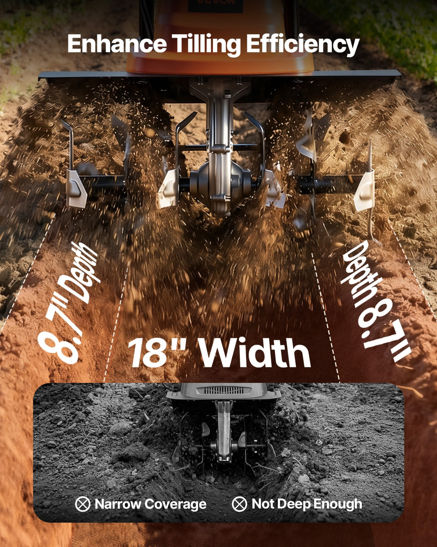 80755586