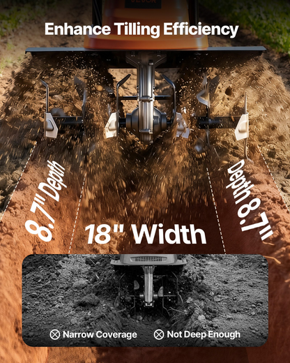 80755586
