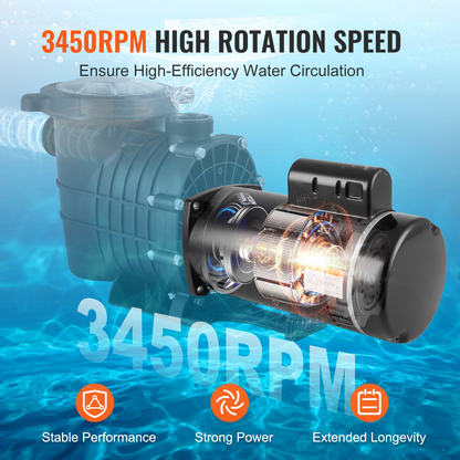 80317948