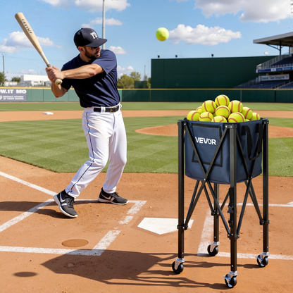 80777228