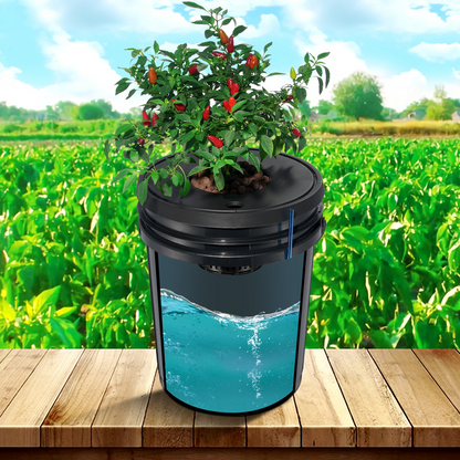 80897413