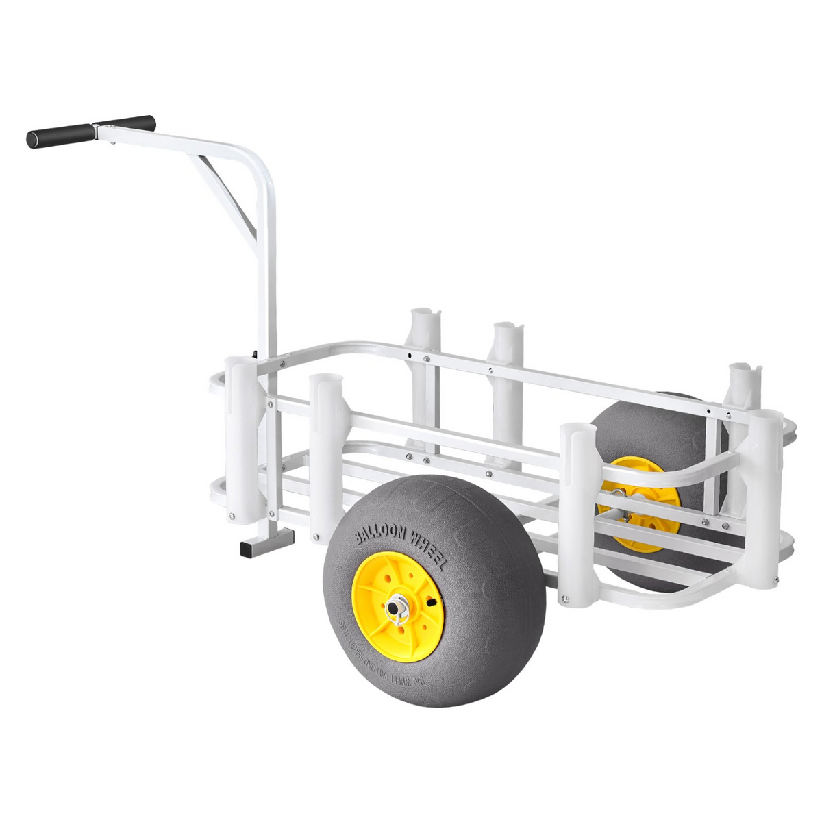 81131897