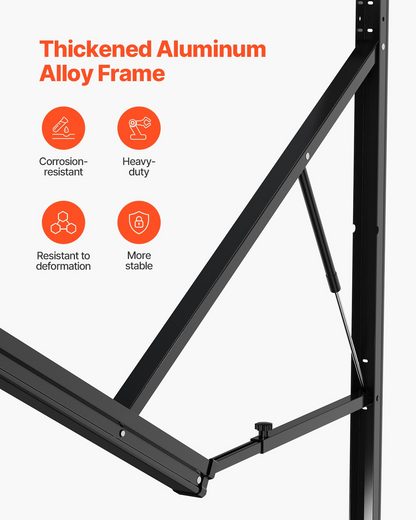 79646651