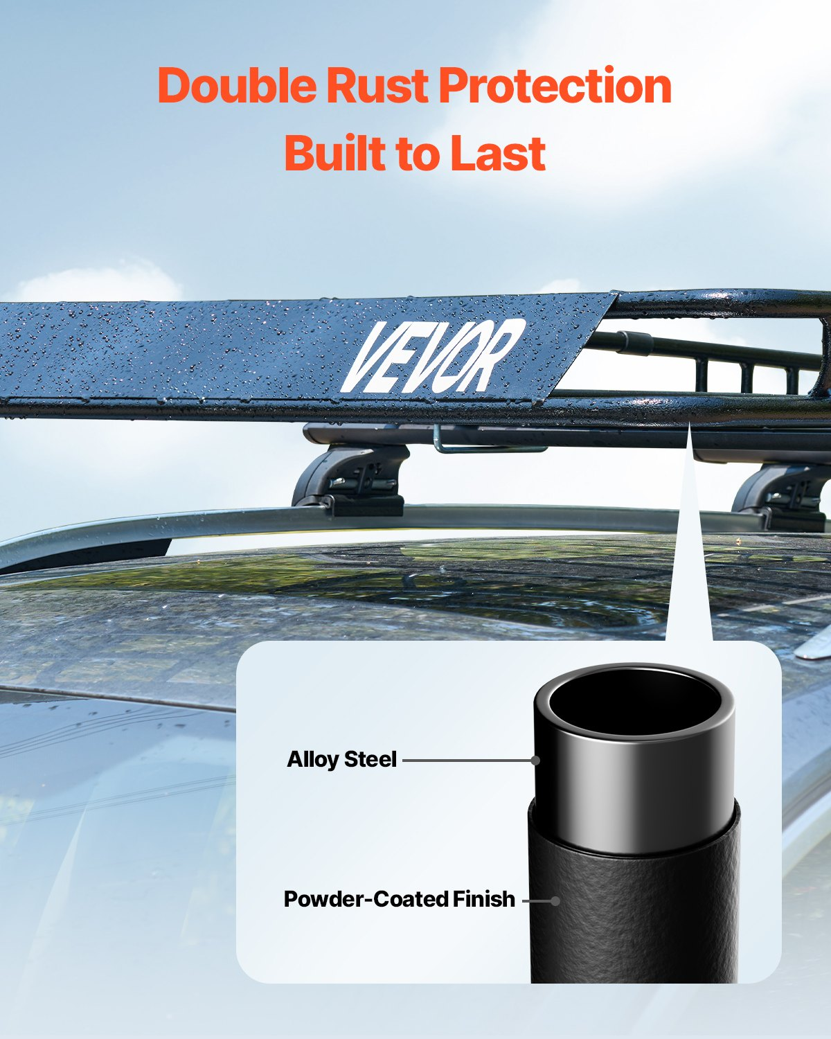 81280838