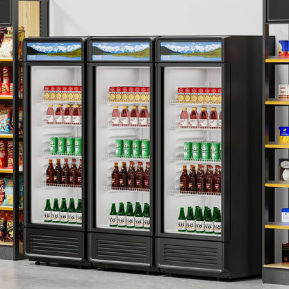 VEVOR Commercial Merchandiser Refrigerator, 9.7 CU.FT Glass Door Display Refrigerator, Beverage Refrigerator Cooler Merchandiser with Adjustable Shelves, Soft LED Light, Customizable Lightbox, Black - View 7