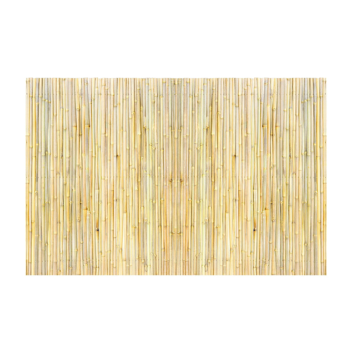 VEVOR Natural Rolled Bamboo Fence, Eco-Friendly Bamboo Privacy Fence 6 ft H x 8 ft L x 0.75 in D. , Decorative Bamboo Privacy Screen for Garden, Backyard, Balcony, Patio, Pool Side - View 8