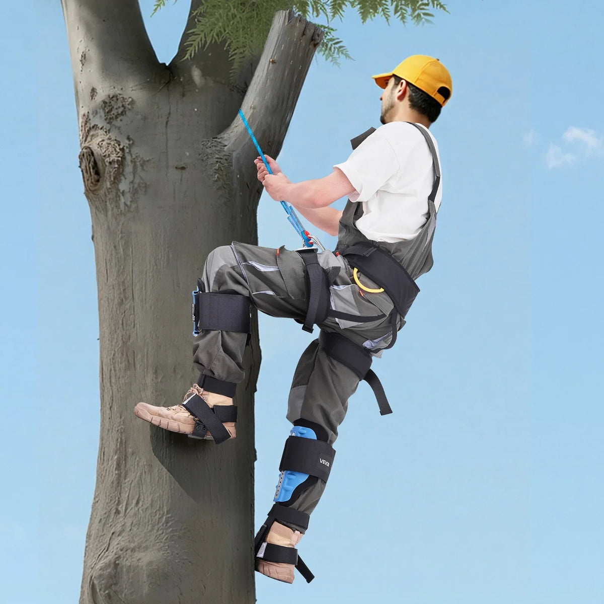VEVOR Tree Climbing Spikes, Height-Adjustable Tree Climbing Gear with Straps & Padding Cushion, 350 lbs Load Capacity, Heavy Duty Steel Climb Spurs Arborist Equipment for Fruit Picking Hunting - View 8